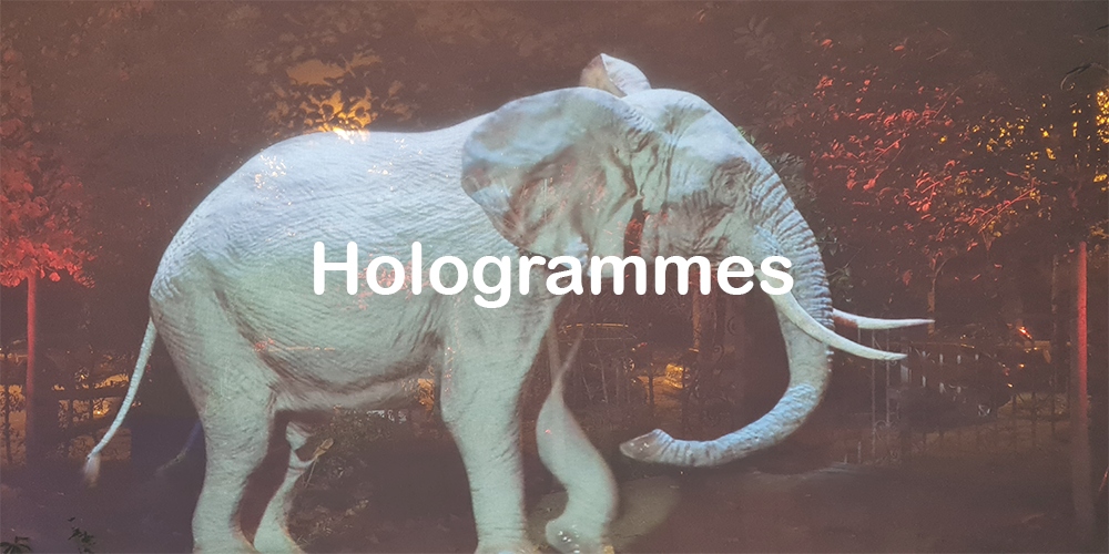 Hologrammes Portfolio Hologramme